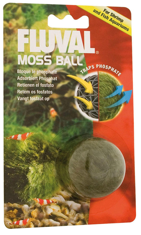   Moos Ball für Wasserklarheit bester-kauf.ch