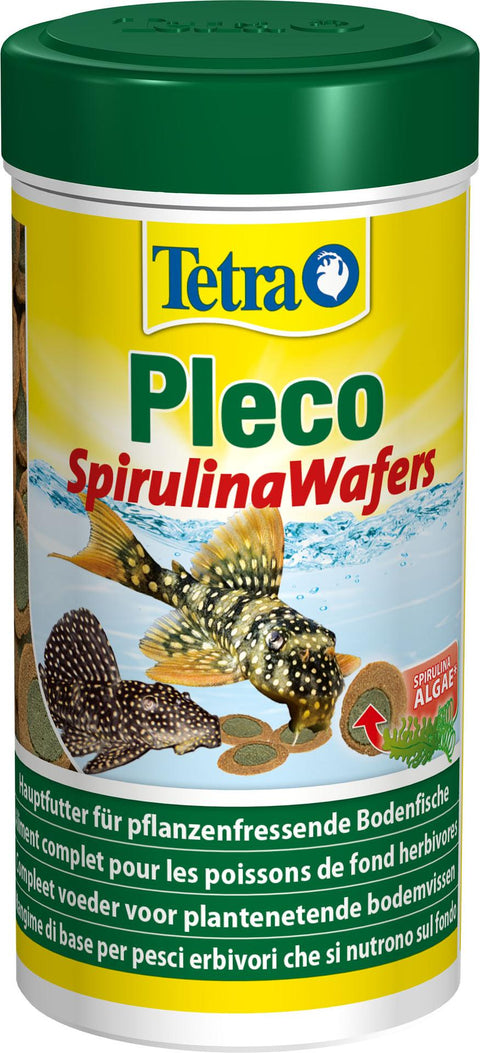   Pleco Multi Wafers bester-kauf.ch