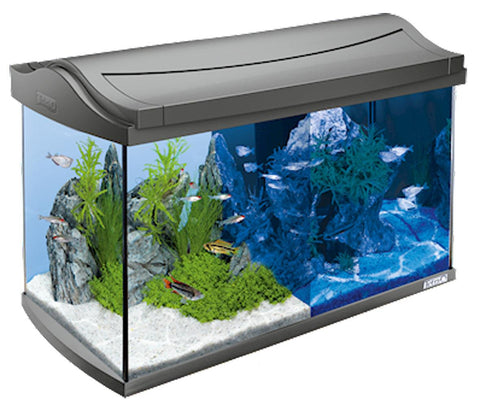   AquaArt Aquarium-Set LED Discover Line 60l, anthrazit bester-kauf.ch