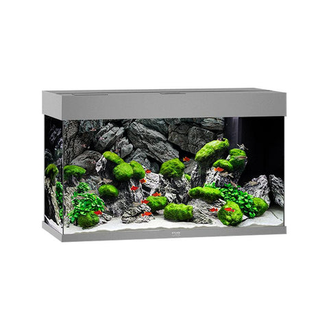   Aquarium Rio 125, 81x36x50cm, grau bester-kauf.ch