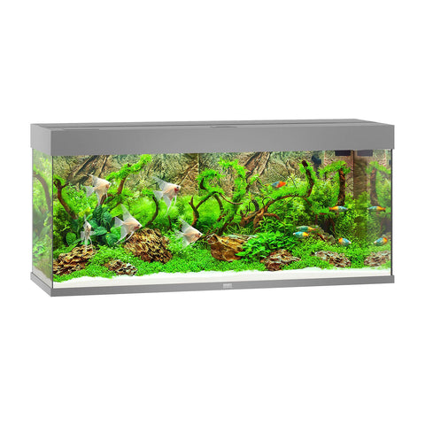   Aquarium Rio 240, 121x41x55cm, grau bester-kauf.ch