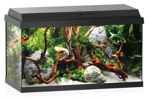   Aquarium Primo 60 LED bester-kauf.ch