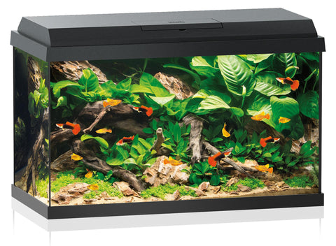   Aquarium Primo 70 LED, schwarz bester-kauf.ch