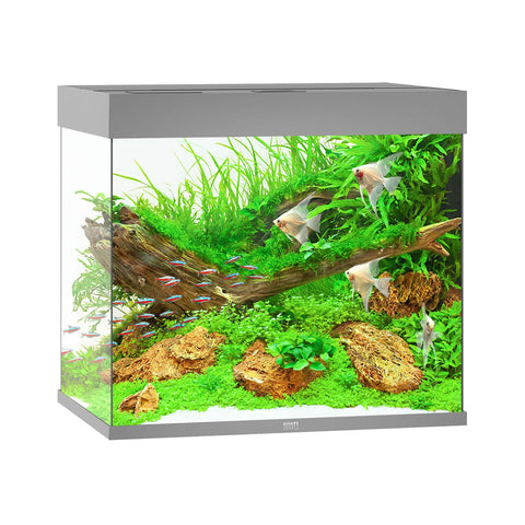   Aquarium Lido 200, 71x51x65cm, grau bester-kauf.ch