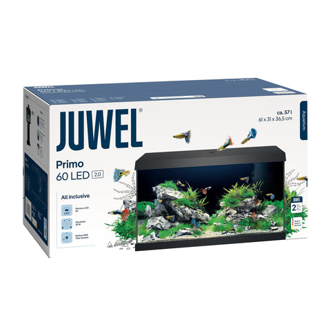   Aquarium Primo 60 LED 2.0, schwarz bester-kauf.ch