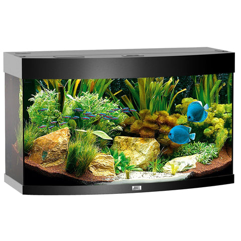   Aquarium Vision 180, schwarz bester-kauf.ch