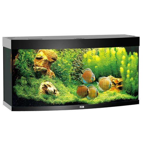   Aquarium Vision 260, schwarz bester-kauf.ch