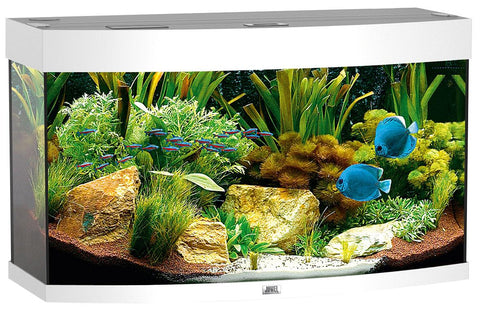   Aquarium Vision 180, weiss bester-kauf.ch