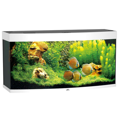   Aquarium Vision 260, weiss bester-kauf.ch