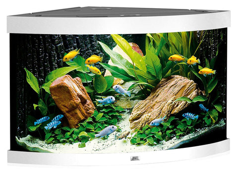   Eck-Aquarium Trigon 190, weiss bester-kauf.ch