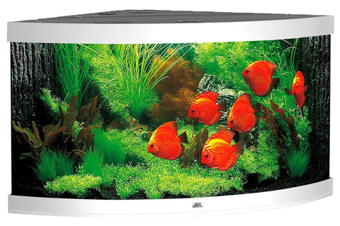   Eck-Aquarium Trigon 350, weiss bester-kauf.ch