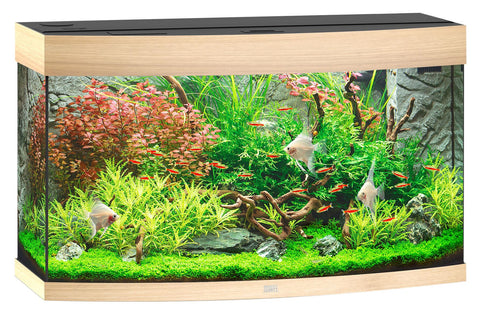   Aquarium Vision 180, Eiche bester-kauf.ch