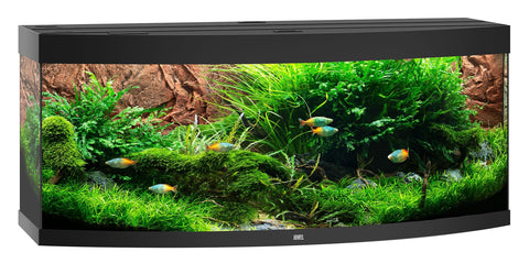   Aquarium Vision 450, 151x61x64cm, schwarz bester-kauf.ch