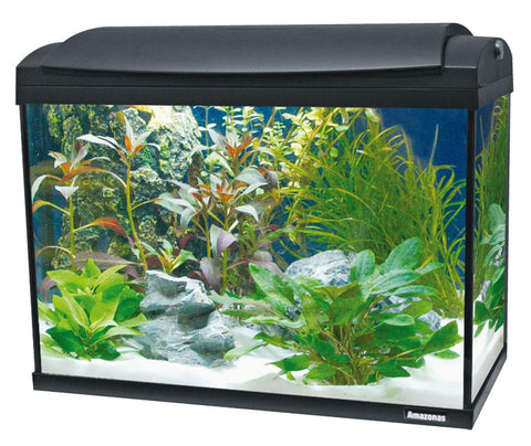   Aquarium F75 bester-kauf.ch