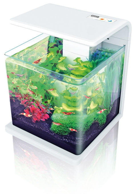   LED Aquarium E15, weiss bester-kauf.ch