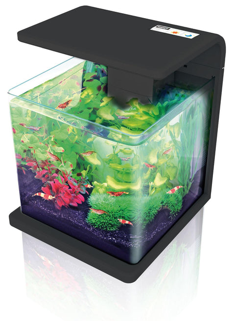   LED Aquarium E15, schwarz bester-kauf.ch