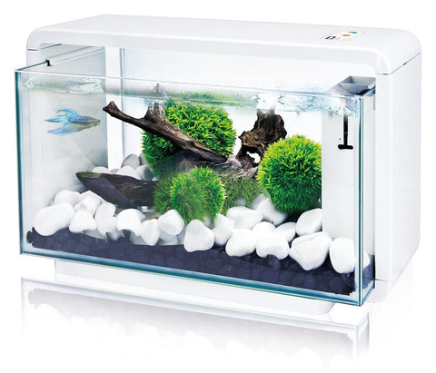   LED Aquarium E25, weiss bester-kauf.ch