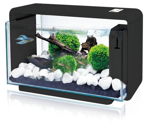   LED Aquarium E25, schwarz bester-kauf.ch