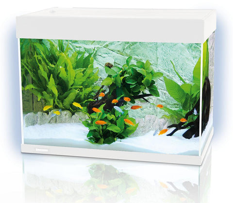   LED Aquarium F78, weiss bester-kauf.ch