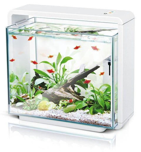   LED Aquarium E40, weiss bester-kauf.ch