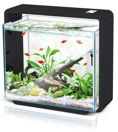   LED Aquarium E40, schwarz bester-kauf.ch