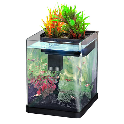   Nano Plant Aquarium schwarz 20L bester-kauf.ch