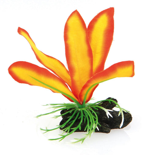   Fantasy Plant Nano AT, orange bester-kauf.ch