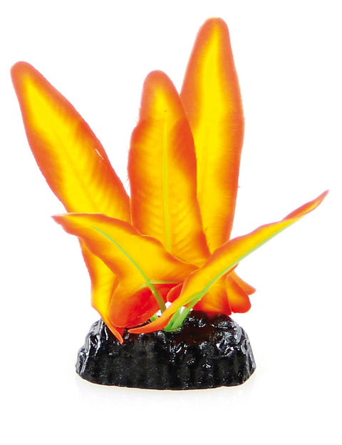   Fantasy Plant BPS-101, 10cm orange-rot bester-kauf.ch