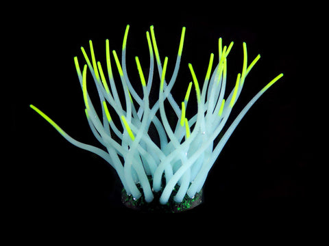   Kunststoffpflanzen FLUO Sea-Anemone, hellblau/gelb bester-kauf.ch