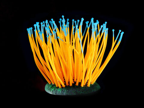   Kunststoffpflanzen FLUO Sea-Anemone, orange bester-kauf.ch