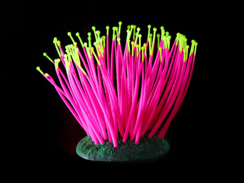   Kunststoffpflanzen FLUO Sea-Anemone, pink bester-kauf.ch