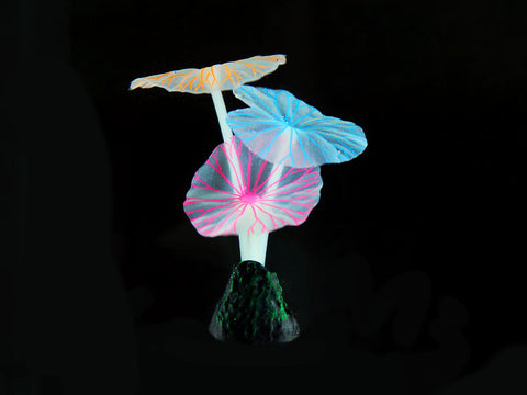   Kunststoffpflanzen FLUO Lotus R10, 3cm, 10cm bester-kauf.ch