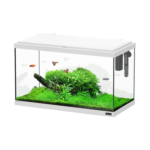   Aquarium Explorer Paris 60 LED, weiss bester-kauf.ch