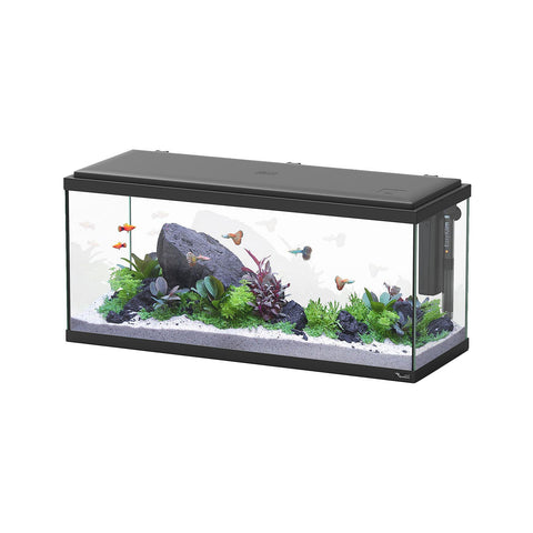   Aquarium Explorer Amsterdam LED 80 bester-kauf.ch