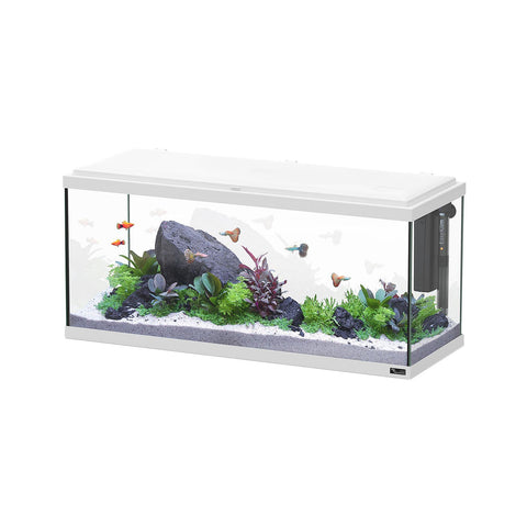   Aquarium Explorer Amsterdam 80 LED bester-kauf.ch