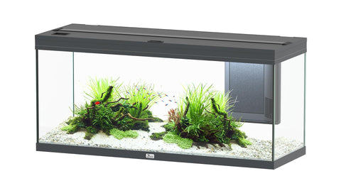   Aquarium Volga 240, grau bester-kauf.ch