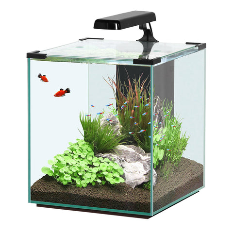   Nano Cubic 40 Aquarium LED Schwarz bester-kauf.ch