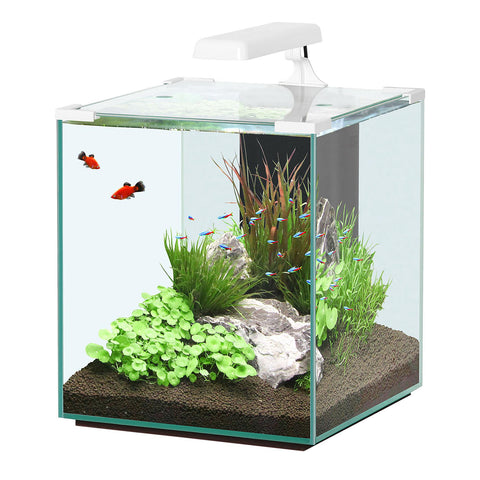   Nano Cubic 40 Aquarium LED Weiss bester-kauf.ch