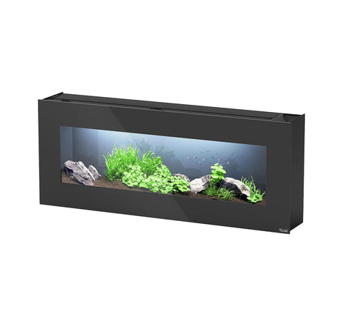   Aquarium Aquaplasma 120, schwarz bester-kauf.ch