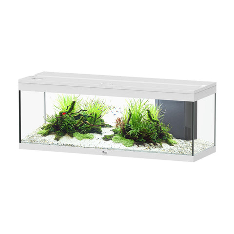   Aquarium Prestige 120 bester-kauf.ch