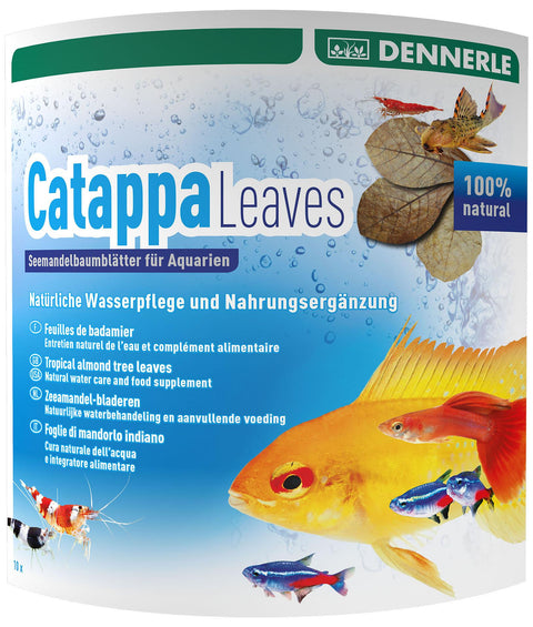   AquaRico Catappa Leaves  Seemandelbaumblätter 10  Stück für 800 Liter bester-kauf.ch