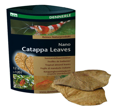   Nano Catappa Leaves, ca. 6,5x8,5cm 12  Stück für 120 Liter bester-kauf.ch