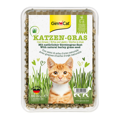   Katzengras mit natürlicher Gerstengras-Saat bester-kauf.ch