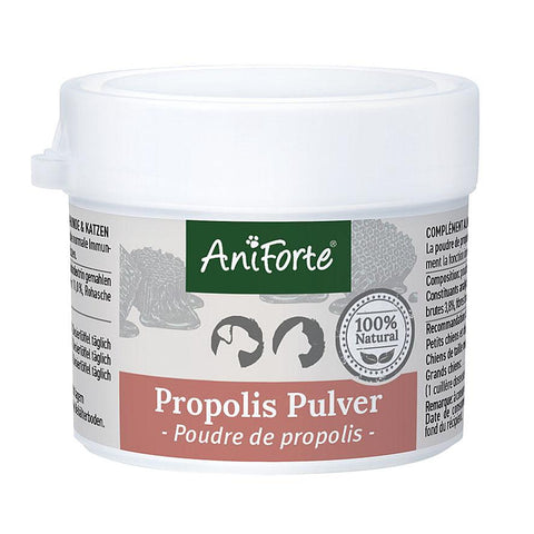   Propolis Pulver bester-kauf.ch