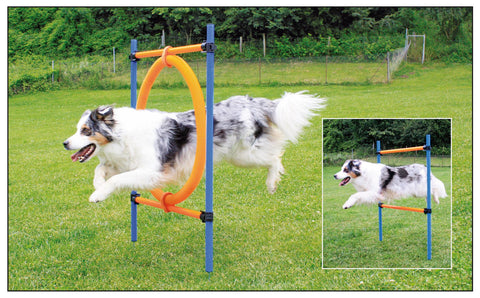   Agility Sprungring bester-kauf.ch