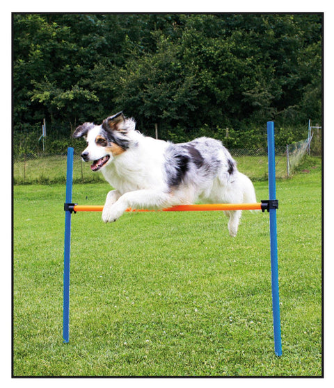   Agility Hürden Set bester-kauf.ch