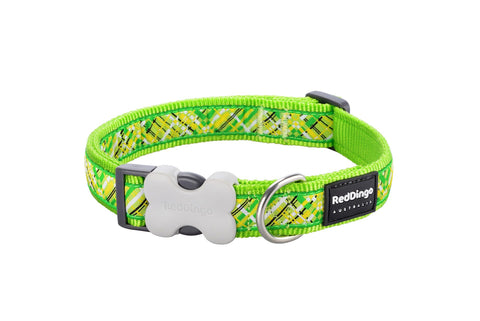   Hundehalsband Design Lime  grün S bester-kauf.ch