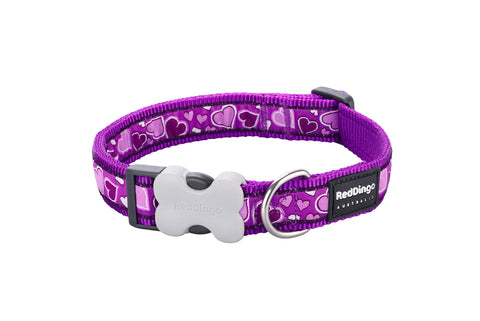   Hundehalsband Design Violett GS bester-kauf.ch