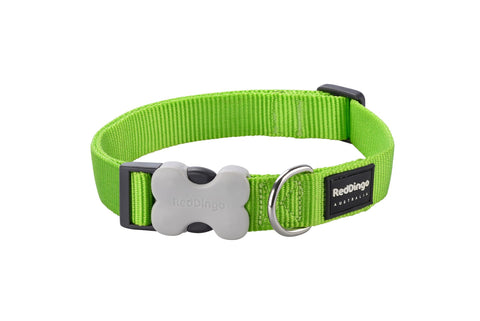   Hundehalsband Plain Lime  grün XS bester-kauf.ch