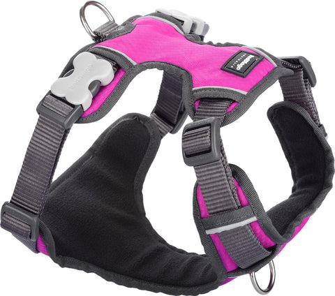   Padded Geschirr Hot Pink XS bester-kauf.ch